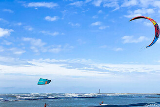 到大安濱海樂園玩「風」了，生態體驗線上報名開跑！
