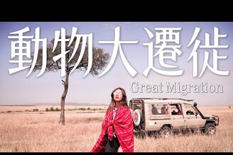 必看！肯亞『動物大遷徙』非洲五霸我竟然看到牠？最震撼的生命旅程 Great Migration｜環球之旅 Kenya