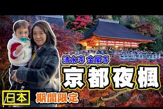 【日本 京都 清水寺 金閣寺】最強楓葉 人生第一次看到夜楓