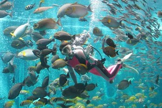 日本海拔最高的「箱根園水族館」