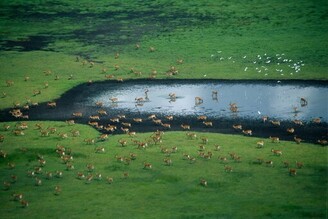 拉姆薩公約首份報告示警：全球濕地消失速度是森林的三倍