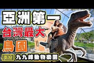 亞洲第1 台灣最大鳥園 九九峰動物樂園 好玩嗎