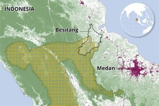 國家公園裡有林農班：印尼保育夥伴計畫「合法佔地」出奇招 復育百萬頃森林