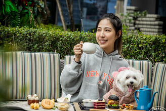 大直英迪格邀毛孩開趴 毛孩鮮食、下午茶、學習寵物按摩、還能抽獎