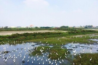 台南旅遊｜走訪大自然的生態教室！盤點台南濕地景點，相約散步、划船和看夕陽