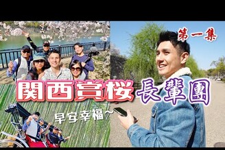 櫻花大滿開大阪城京都嵐山2023關西賞櫻孝親之旅 EP.1