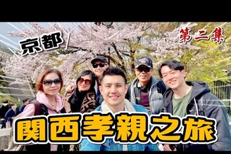 京都清水寺櫻花大滿開2023關西賞櫻孝親之旅 EP.2