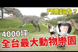 全台最大動物樂園 門票超貴值得玩嗎鼠來寶被恐龍嚇到尖叫九九峰動物樂園Bobo TV