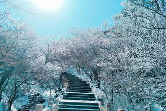 到黃山了，運氣很好，來之前下大雪
