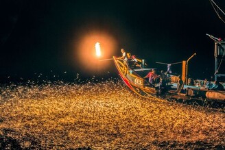 金山蹦火季開始了 預約暑假北海岸假期近距離體驗百年蹦火仔漁法