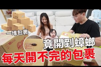 老婆每天網購一堆東西 開箱近期3天包裹竟開到蟑螂【Bobo TV】