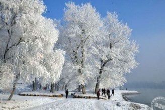 美如仙境 來吉林霧淞島盡享冬季浪漫