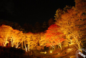 在地人推薦 日本關西秋季不可錯過的玩法