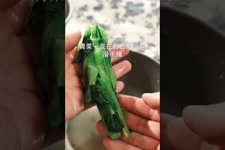 葉菜類保持翠綠方法，菜飯 日本男子的家庭料理 TASTY NOTE