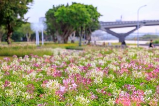 北市賞花小旅行