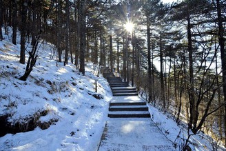 #黃山旅遊攻略