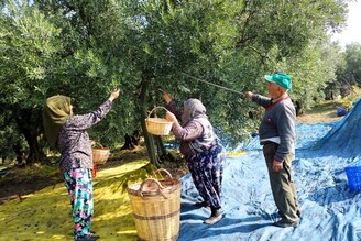 來自土耳其5項新非物質文化遺產被列入聯合國教科文組織名錄