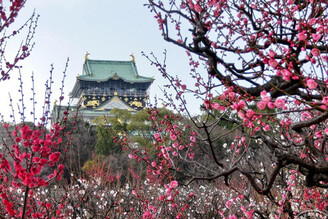 日本大阪梅花季1月下旬登場 捷絲旅大阪心齋橋館推新春快閃住房優惠