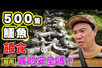 【500隻鱷魚】越南最終章 到底安全嗎美慶旅遊村