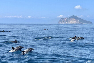 龜山島3月1日宣布開放登島 賞鯨豚、生態「趣」！