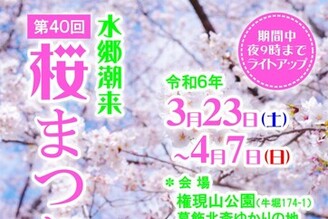 「水鄉潮來櫻花祭」3月23日開始囉!!