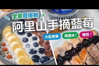 大粒果實！超飽水！超甜阿里山手摘藍莓 日本男子的家庭料理 TASTY NOTE