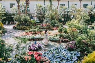 苗栗景點｜苗栗卓蘭秘密景點「花露休閒農場」 浪湖玻璃花屋 森林秘境般的園區