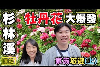 【杉林溪 牡丹花大爆發】松瀧岩 花卉中心 衫林溪大飯店 家族旅遊上