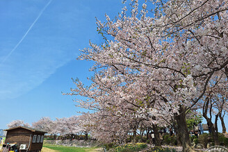 京畿道始興河溝生態公園春秋之美 連《男朋友》都愛！