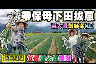 【帶著保母下田拔蔥】宜蘭拔蔥抓泥鰍做麵包  小礁溪螢火蟲季 晚上泡溫泉