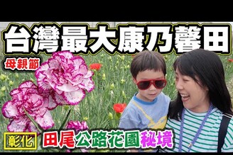 【全國最大康乃馨田】彰化田尾公路花園探索秘境 開箱當地農民私房景點 母親節快樂