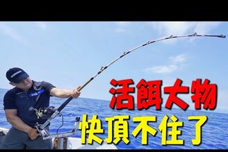 活餌大物先釣小魚！再鉤下去換大魚！RJ10969