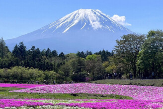 日本富士山登山限制 推薦5大搶手富士山景觀飯店