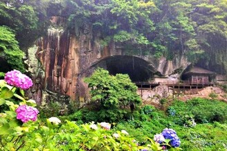 隱山中的繡球花寺 普光寺