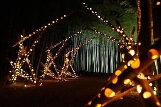 栃木縣若竹之杜 若山農場夜間點燈～感受日本禪意美學