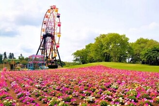 千葉縣「東京德國村」感受德國田園風景