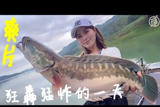 【釣魚日記】把握黃金兩小時..破紀錄打完收工魚虎爆桶第一次遇到Taiwan girl fishing釣采蓁 Patti