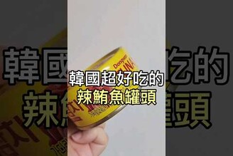 韓國好吃的辣鮪魚罐頭