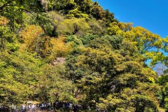 平安貴族的風雅遊戲 “曲水之宴”