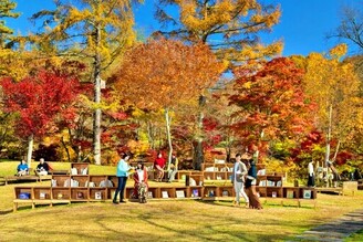 在漫天紅葉下讀本好書 輕井澤「紅葉圖書館」開催