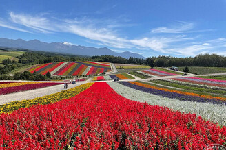 日本楓紅由北海道開始「展開」 邀您來探索富良野秋季旅遊魅力