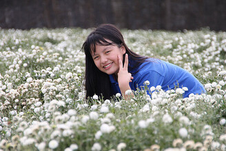 苗栗銅鑼杭菊花海11月中旬現蹤 看花海或來場採杭菊、收地瓜農村體驗