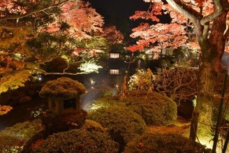 栃木縣秋季夜間點燈 輪王寺逍遙園、掬翠園紅葉點燈