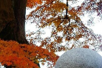 茨城縣大子町的紅葉寺 永源寺