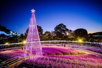 足利花卉公園「光之花庭園」