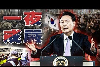 南韓戒嚴6小時民進黨團戒嚴文拳上2024記者會老鵝特搜1463