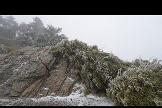 合歡山武嶺下雪實況