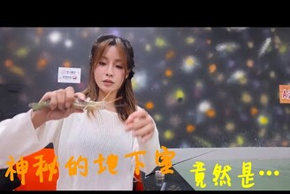 【釣蝦日記】尊嚴之戰....現金彩帶放那麼多安內甘好....有人釣彩帶蝦就回本了.Taiwan girl fishing釣采蓁 Patti