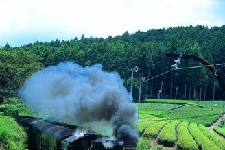 發掘靜岡原風景 懷舊鐵道與茶鄉風光