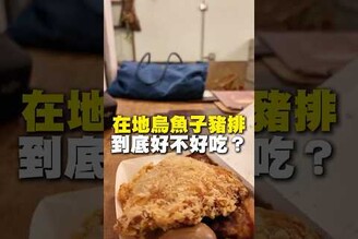 在地烏魚子豬排！到底好不好吃炸豬排 豬排飯 台南美食 在地美食 美食 美食推薦 旅遊 fyp food taiwanfood streetfood